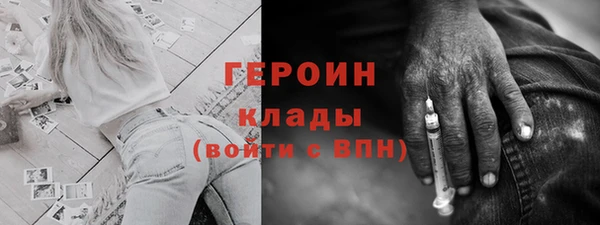 молекула духа Ельня
