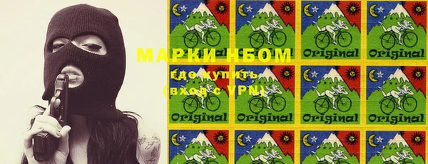 молекула духа Ельня