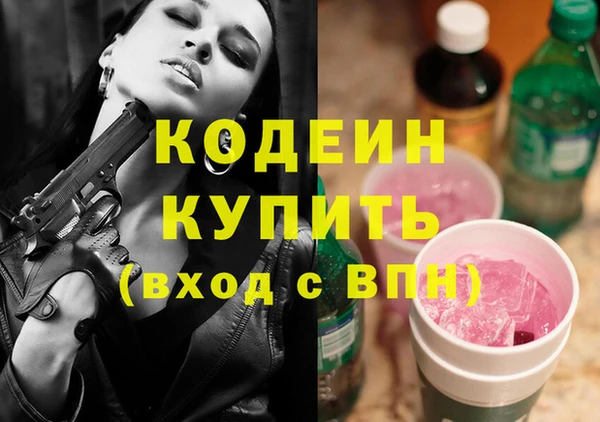 молекула духа Ельня