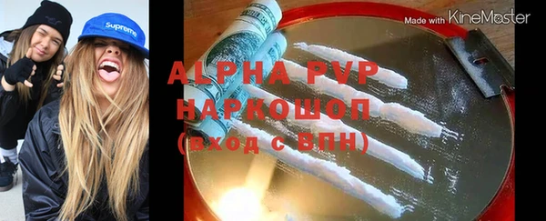 молекула духа Ельня
