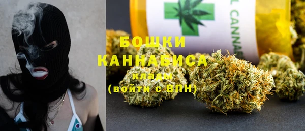 молекула духа Ельня
