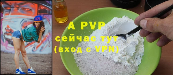 молекула духа Ельня