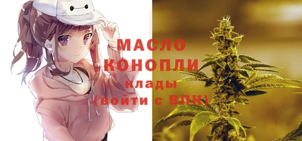гидропоника Елабуга