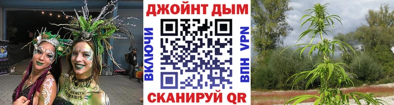 Конопля гибрид  Купить  Зверево 