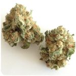 Шишки "White Widow"  (Белая вдова)  Гидропоника -  Бошка VHQ в Зверево